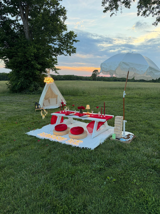 Romantic Engagement Picnic